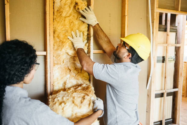 Types of Insulation We Offer in Woodway, WA